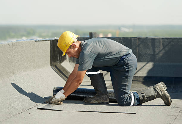 Best Insulation Maintenance and Repair in Hodgenville, KY
