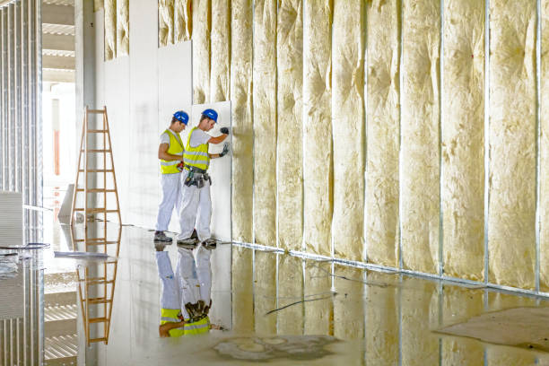 Types of Insulation We Offer in KY